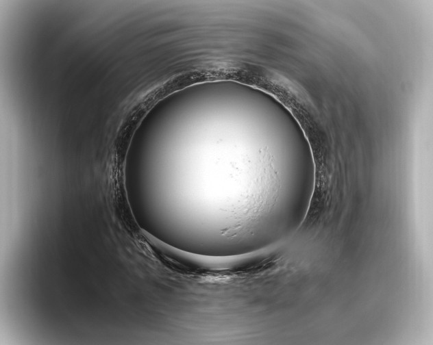 X0000096640773200802051127