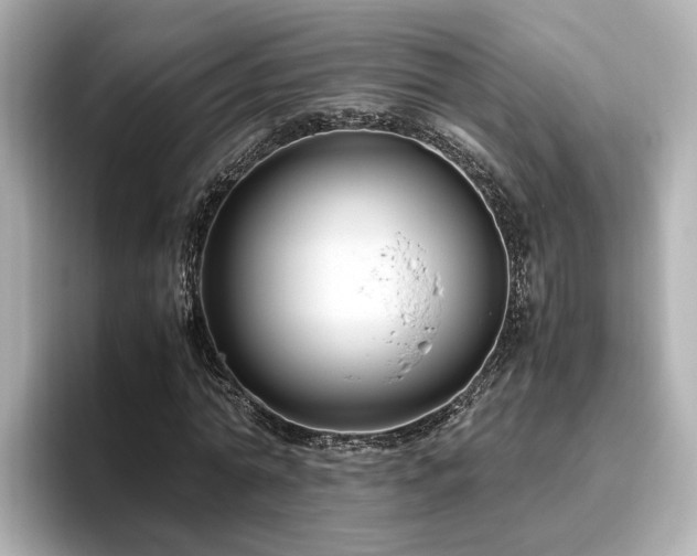 X0000096640774200802051127