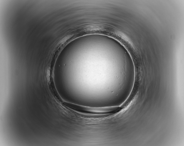 X0000096640777200802051127