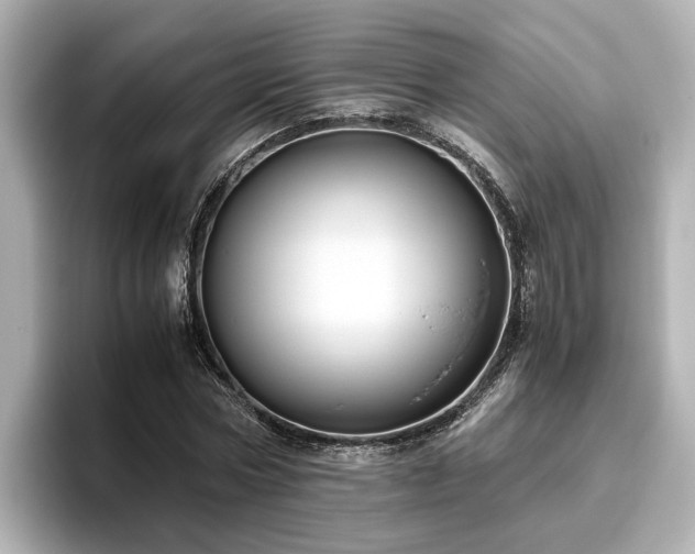 X0000096640778200802051127