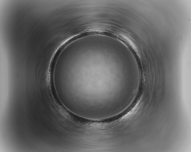 X0000096640779200802051127