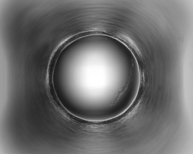 X0000096640780200802051127