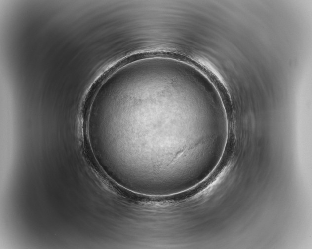 X0000096640781200802051127