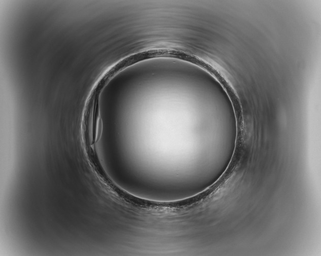 X0000096640783200802051127