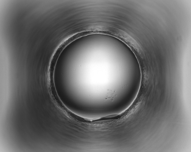 X0000096640784200802051127
