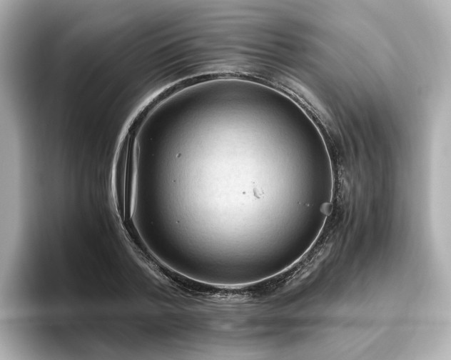X0000096640788200802051127