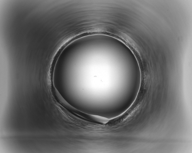 X0000096640789200802051127