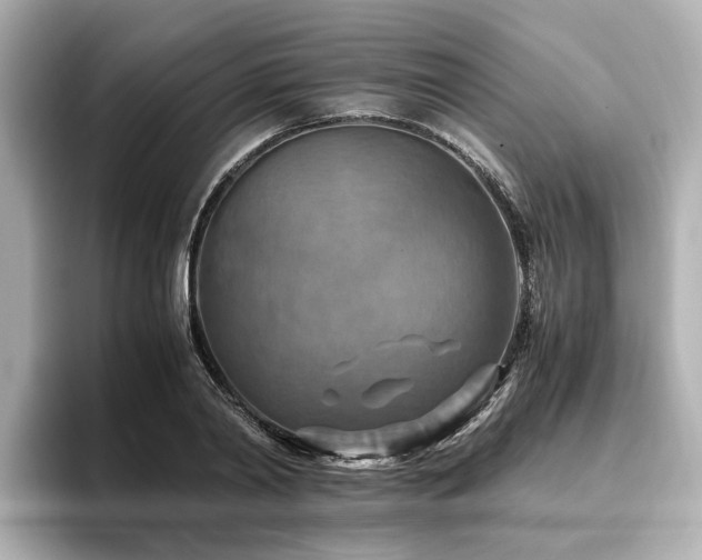 X0000096640790200802051127