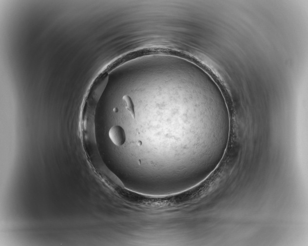 X0000096640791200802051127
