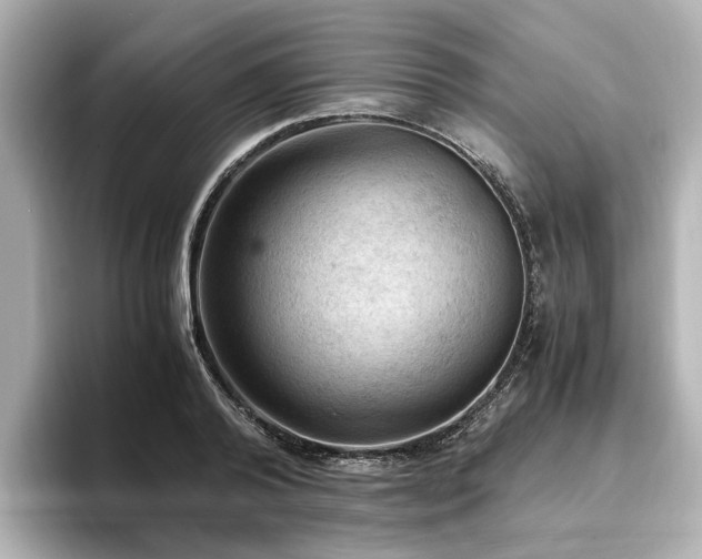 X0000096640792200802051127
