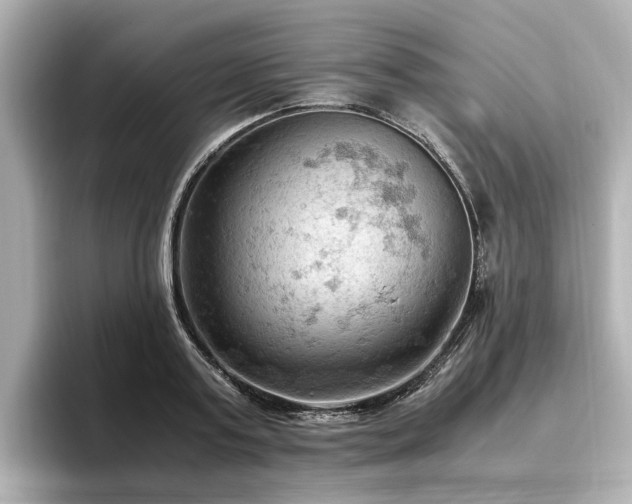 X0000096640795200802051127