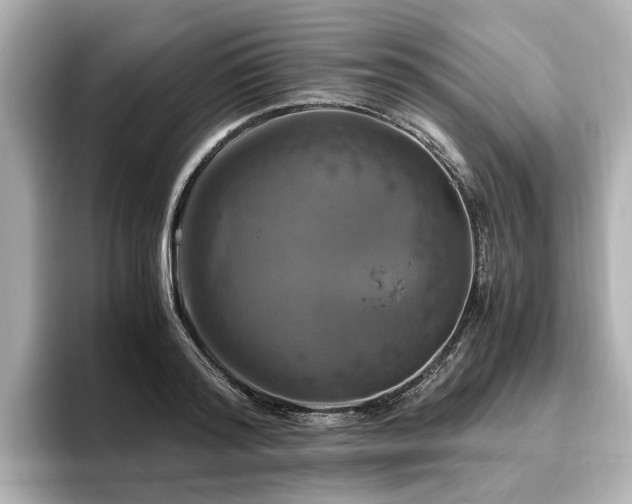 X0000096640796200802051127