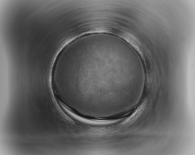 X0000096640797200802051127