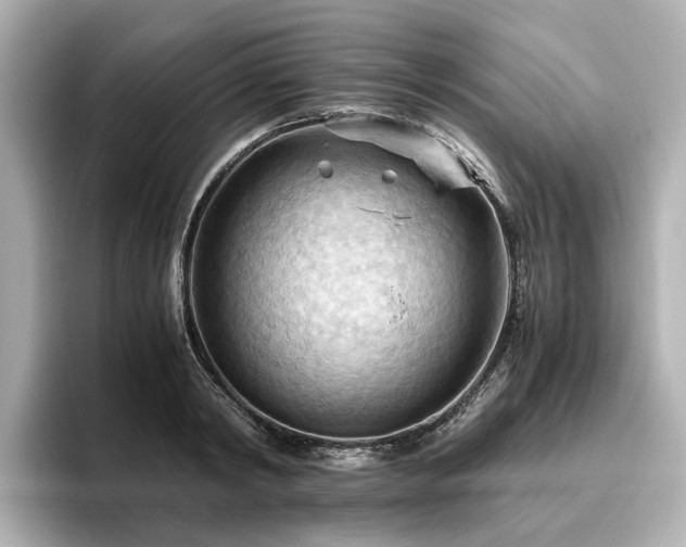 X0000096640798200802051127