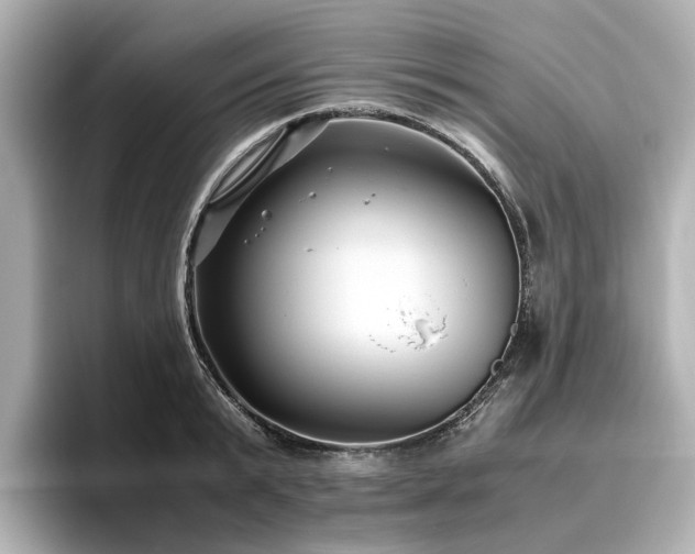 X0000096640799200802051127