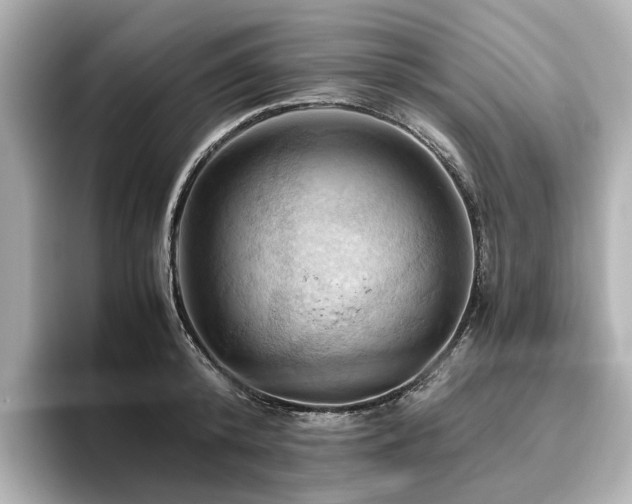 X0000096640800200802051127