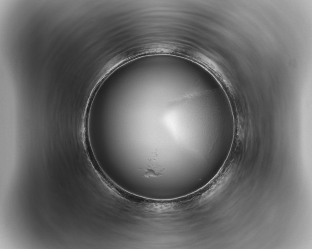 X0000096640802200802051127