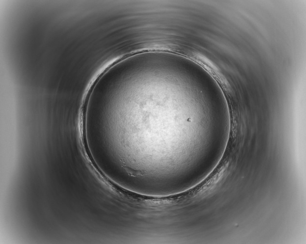 X0000096640804200802051127