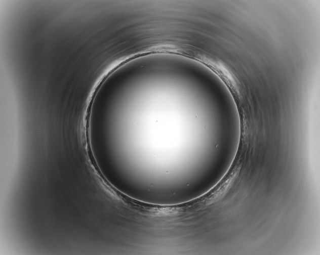 X0000096640808200802051127