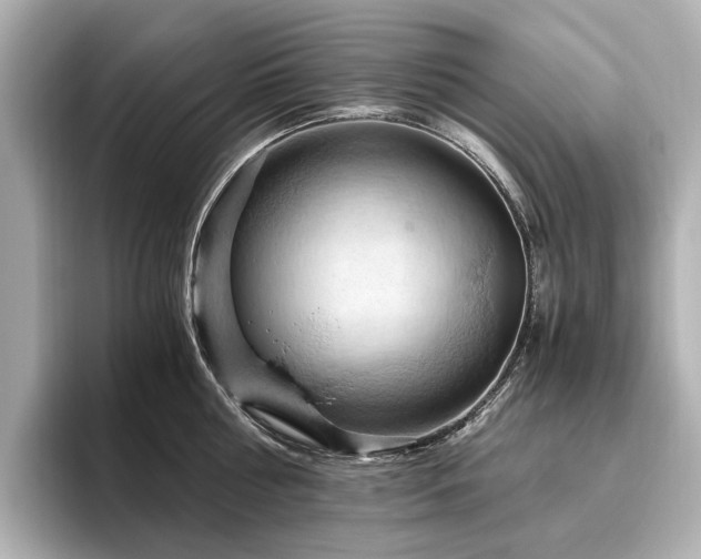 X0000096640810200802051127