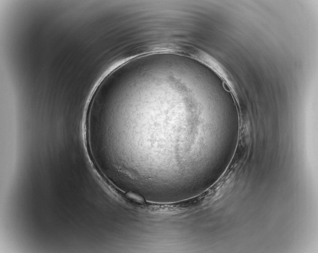 X0000096640811200802051127