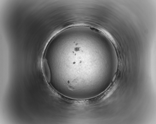 X0000096640813200802051127