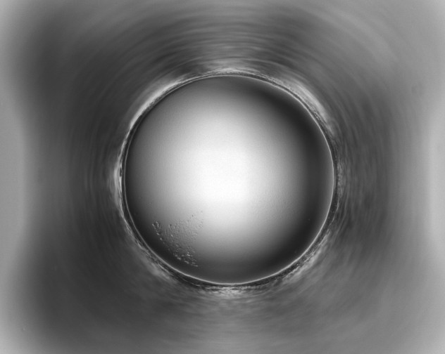 X0000096640814200802051127