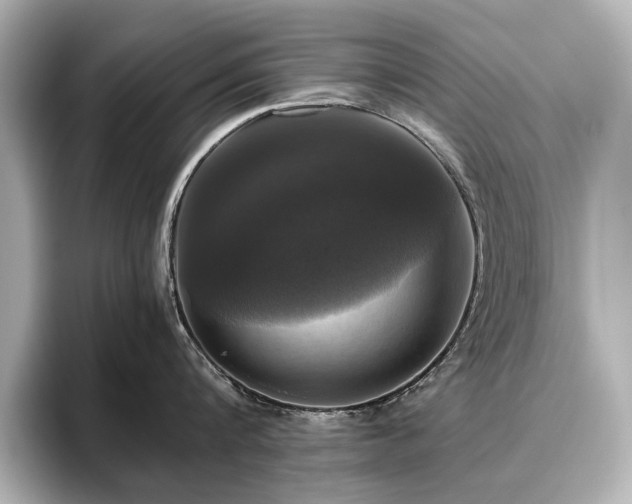 X0000096640816200802051127