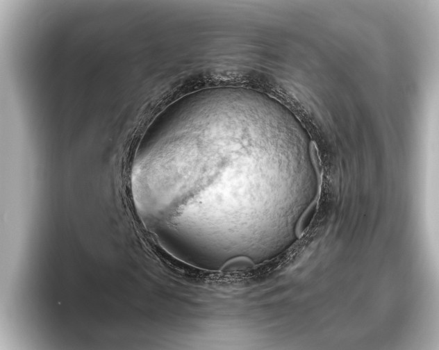 X0000096640817200802051126
