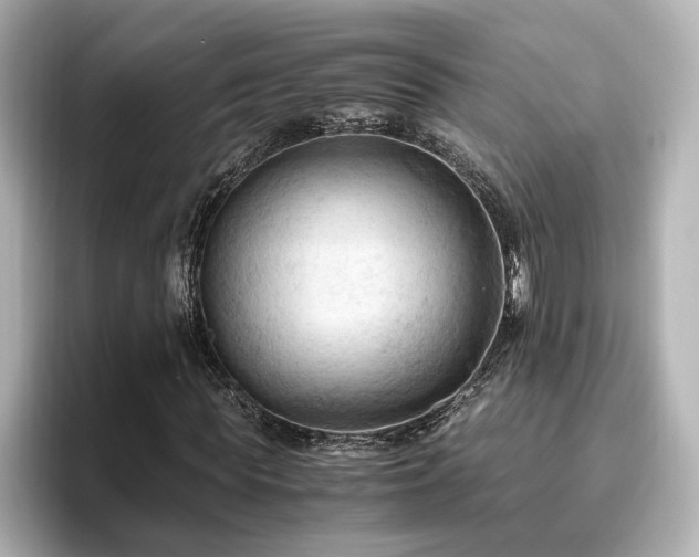 X0000096640819200802051126