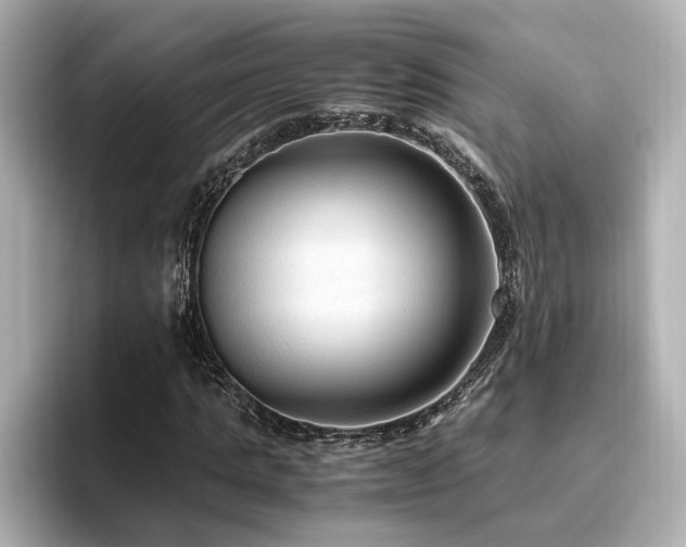 X0000096640821200802051126
