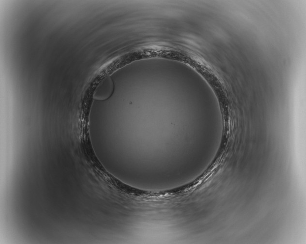 X0000096640822200802051126