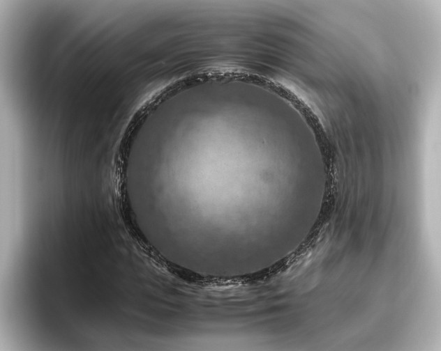 X0000096640823200802051126