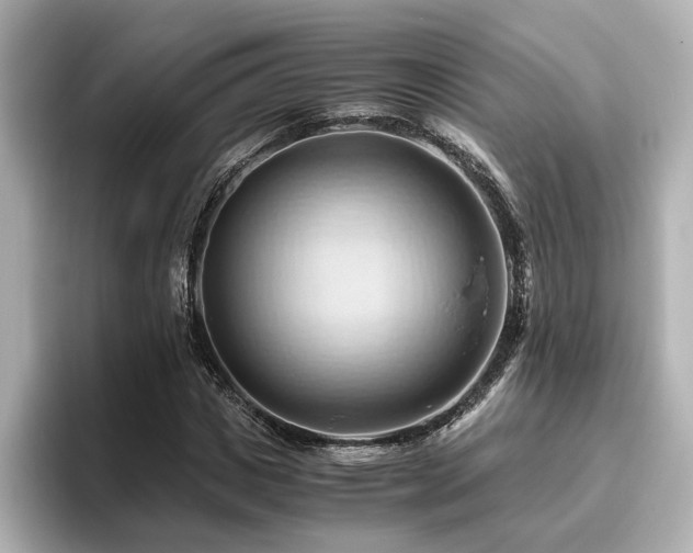 X0000096640825200802051126