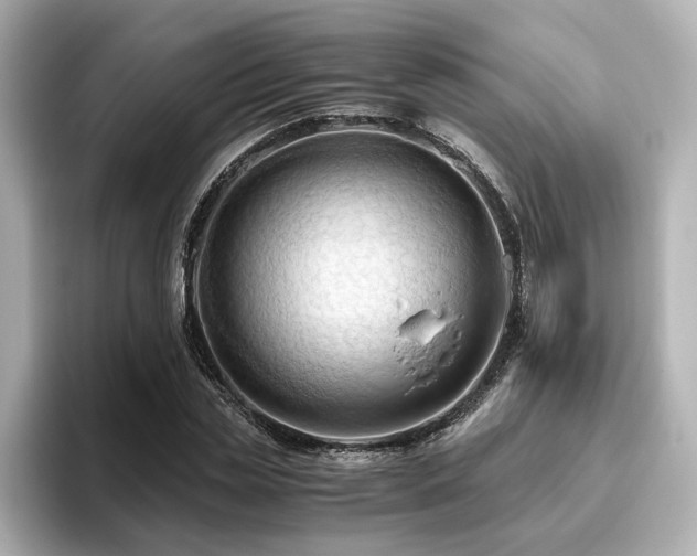 X0000096640829200802051126
