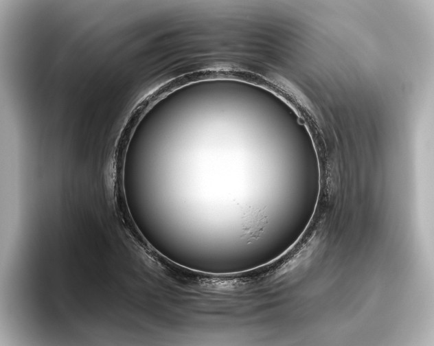 X0000096640831200802051126