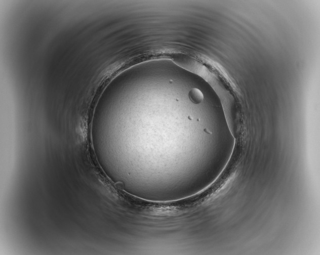 X0000096640833200802051126