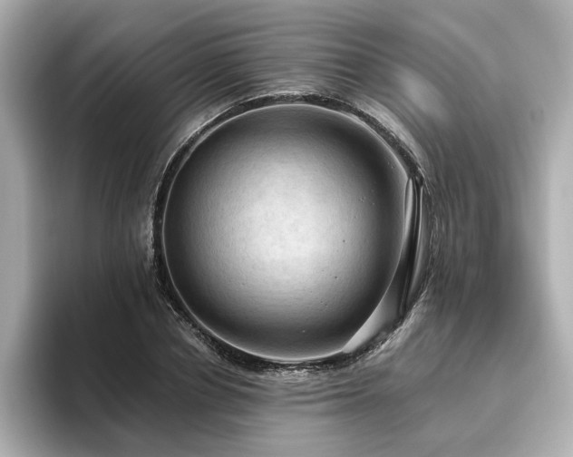 X0000096640834200802051126