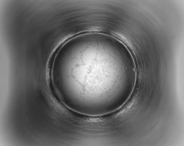 X0000096640835200802051126