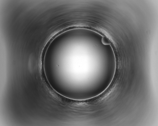 X0000096640837200802051126