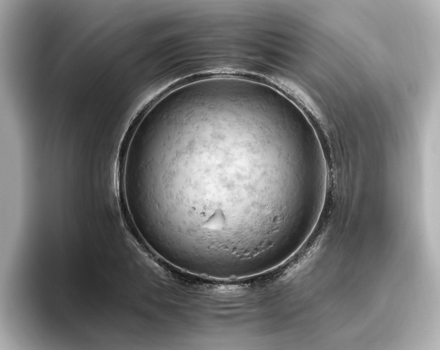 X0000096640839200802051126