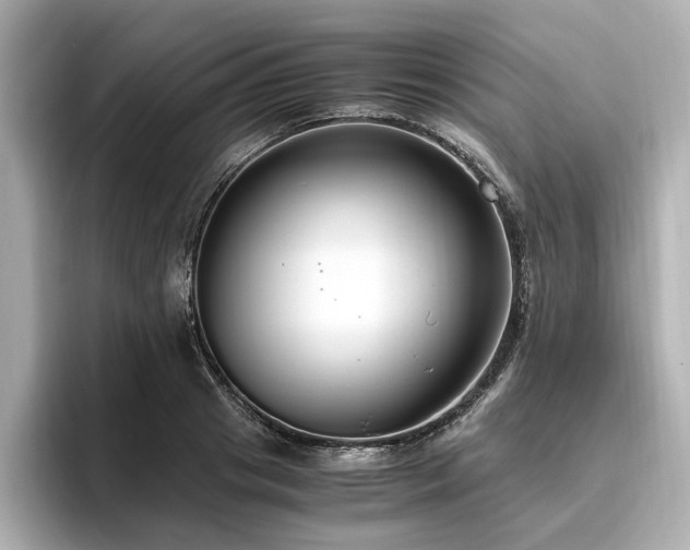 X0000096640841200802051126