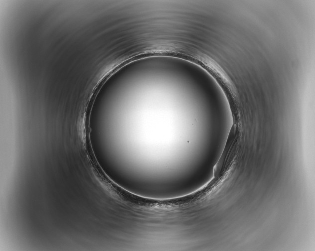 X0000096640842200802051126