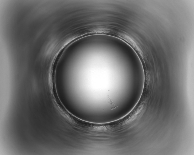 X0000096640843200802051126