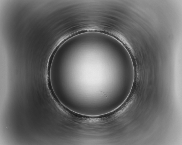 X0000096640845200802051126