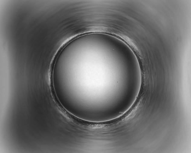 X0000096640846200802051126
