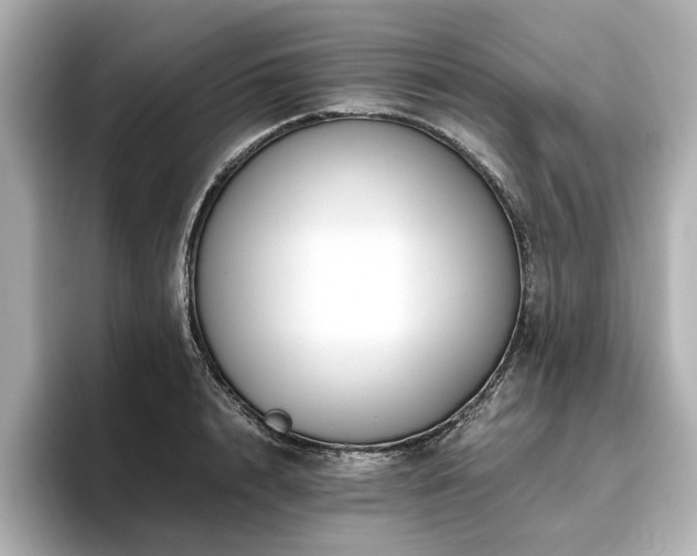 X0000096640848200802051126
