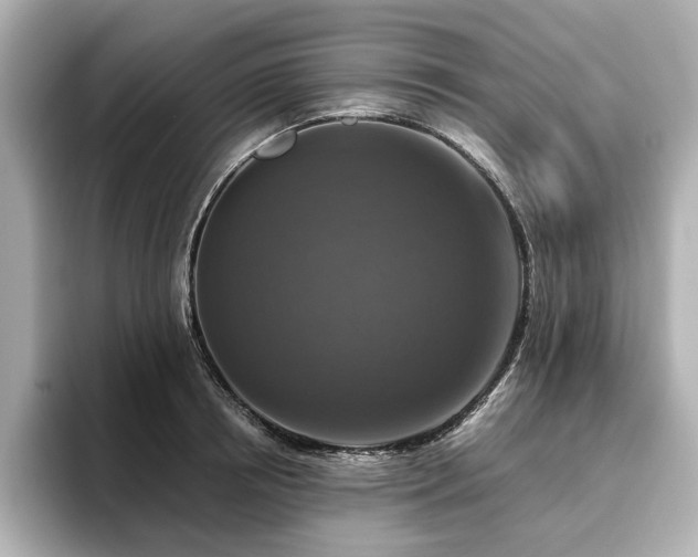 X0000096640850200802051126