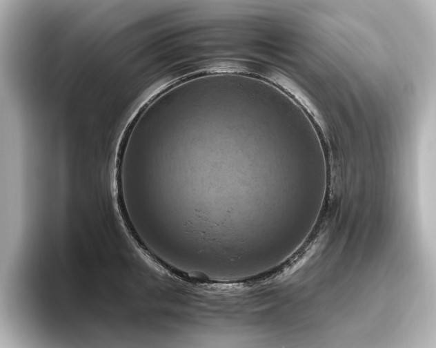 X0000096640853200802051126