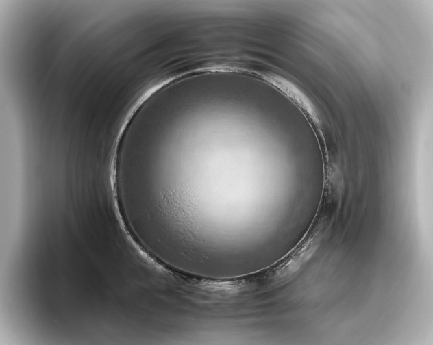 X0000096640855200802051126